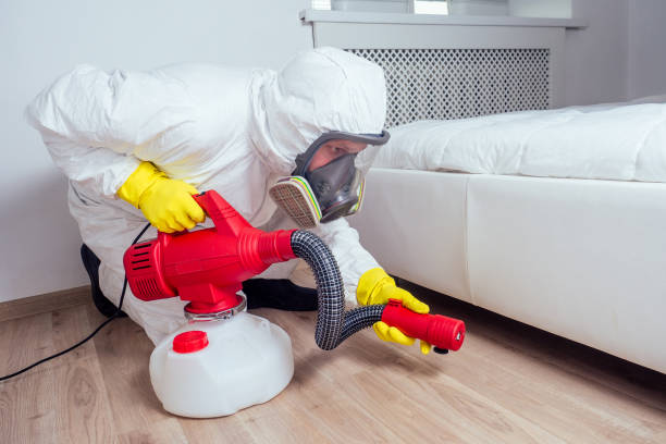 Professional Pest control in Three Oaks, MI